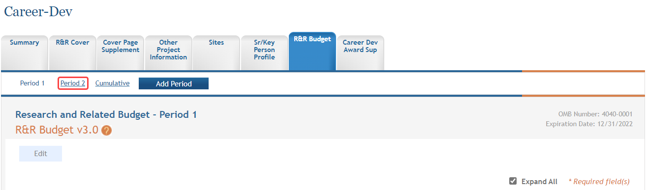 A portion of the R&R Budget form is shown displaying the links to all entered budget periods across the top