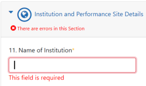 Example of errors on form