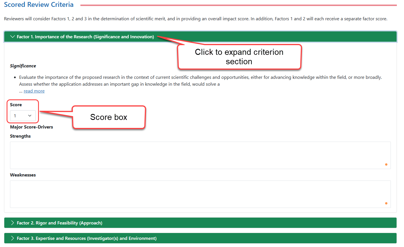 Expanded criterion section showing the score box within the section
