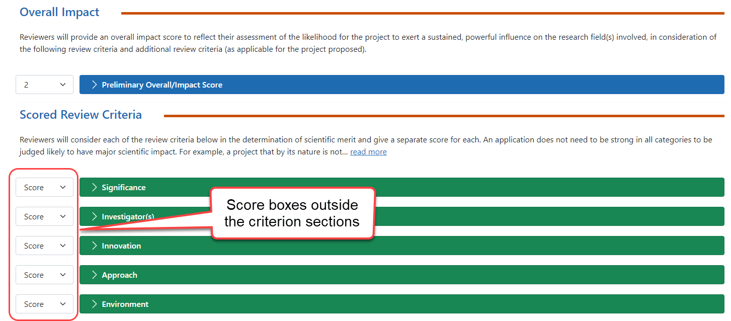Online Critique Template with score boxes outside the criterion sections