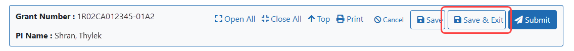 Online Critique screen bannner showing the Save & Exit button
