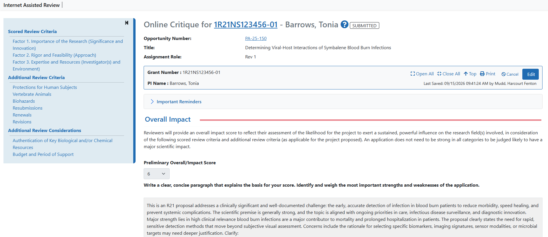 The Online Critique template screen
