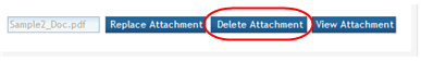 Sample file is shown with Replace Attachment, Delete Attachment, and View Attachment buttons. Delete Attachment is showcased.