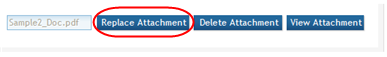 Sample of a file with three buttons: Replace Attachment, Delete Attachment, View Attachment. Replace Attachment is showcased.