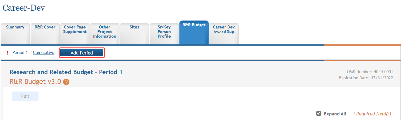 R&R Budget form, highlighting the Add Period button at the top of the page