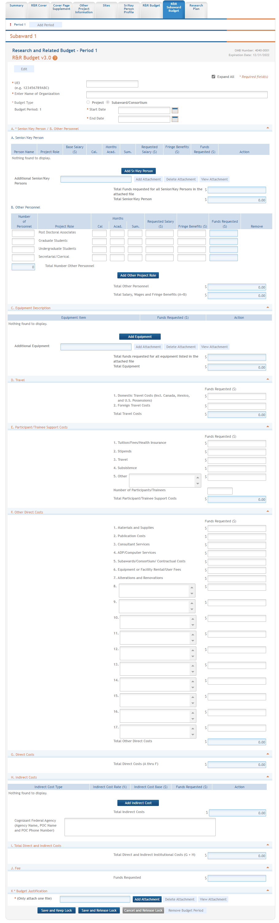 The subaward form expanded to show all fields for editing.