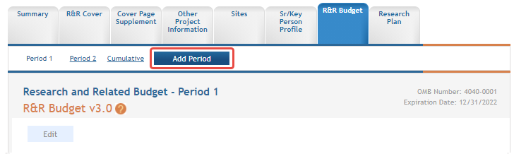 Sample Subaward form showing the Add Period button next to the Period 1 link.