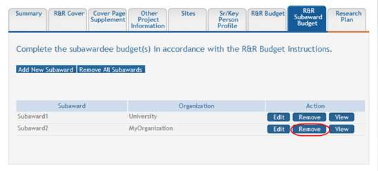 Partial image of the R&R Subaward Budget tab main page, highlighting the Remove button on the table of subawards