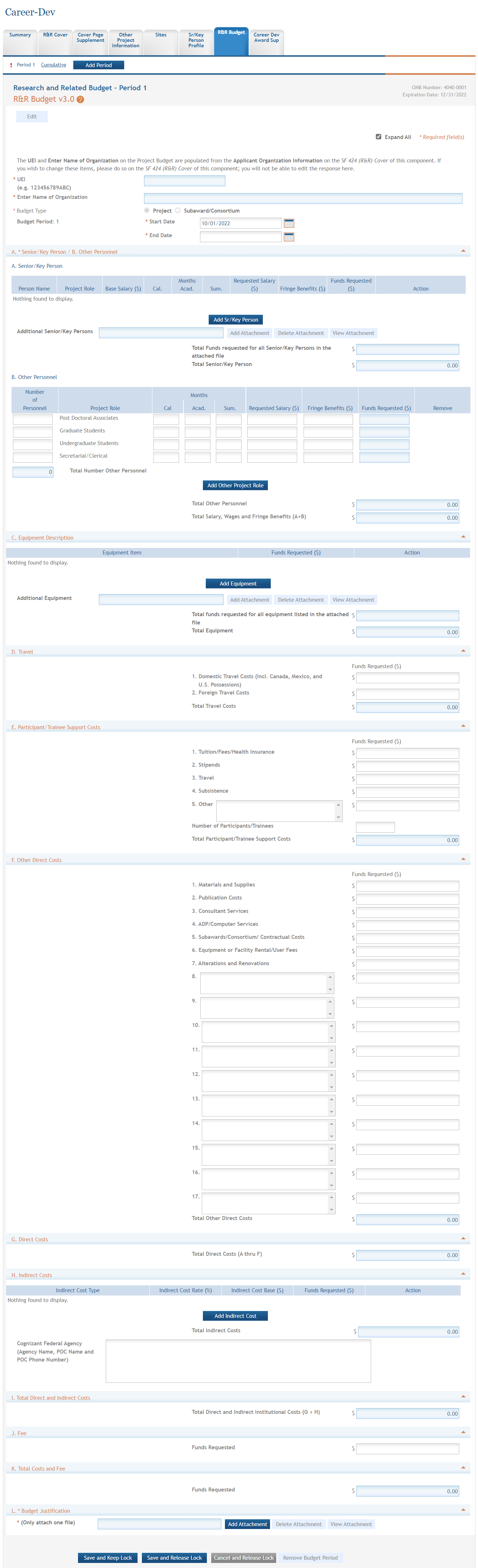 R&R Budget form open for editing