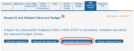 Download button on the form for single-project application