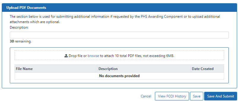 Optional PDF upload section