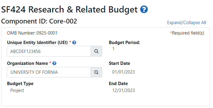 Budget form for component with editable UEI and Organization name