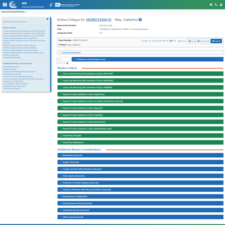 Online Critique Main Screen