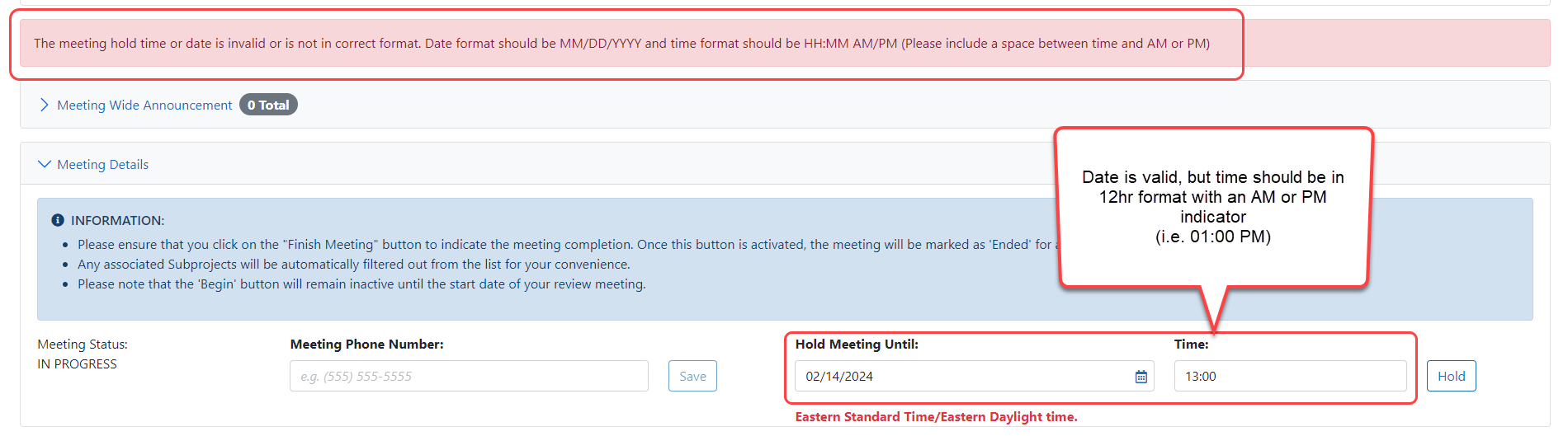 Date/Time Format error on meeting Hold.
