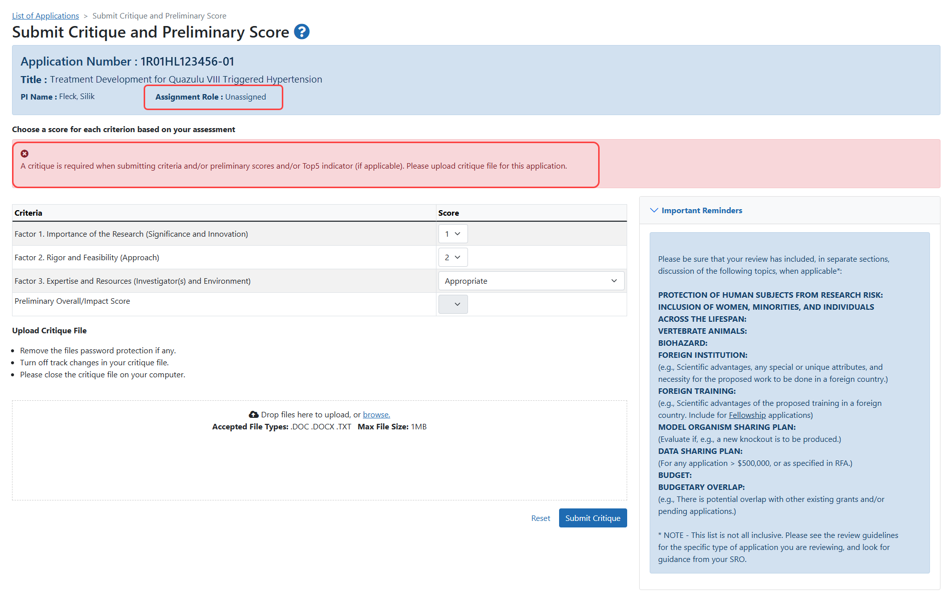 sample Submit Critique and Preliminary Score screen with error message