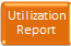 Utilization Report