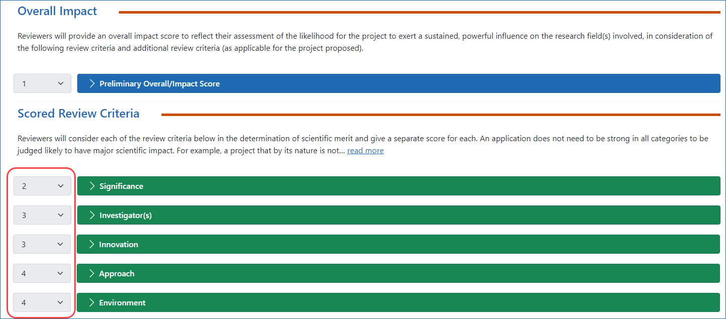 Online critique showing score boxes outside of the criterion expandable section.