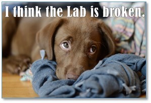 Lab Broken