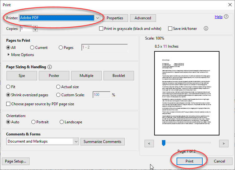 Figure 1: A print dialog box with the Printer field set to Adobe PDF