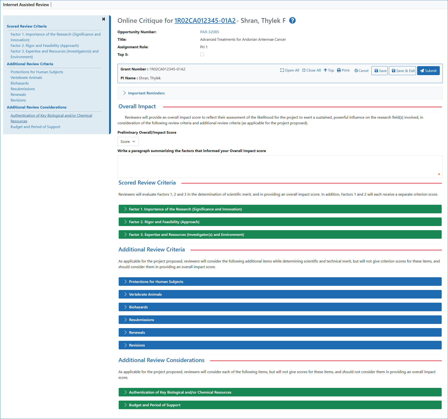 The Online Critique screen