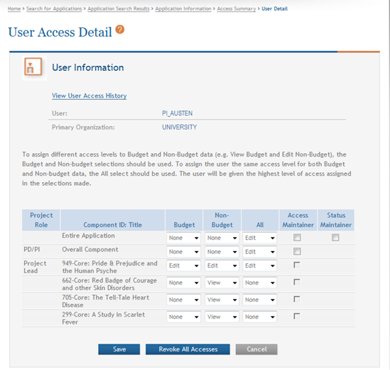 Sample of the User Access Detail page